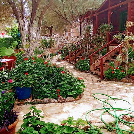 Efe * Kaş